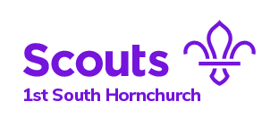 Scouts Logo
